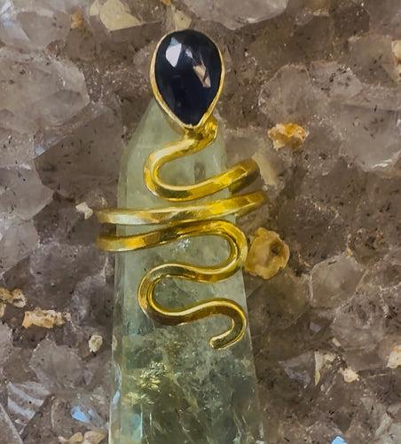 Blue snake