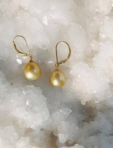 Golden Australian South Sea Pearl Earrings